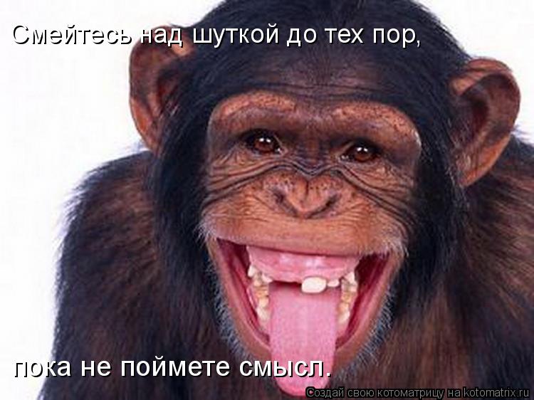 Смейтесь над шуткой до тех пор, пока не поймете смысл.... Котоматрица: Смейтесь над шуткой до тех пор, пока не поймете смысл.