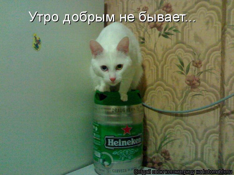 Утро добрым не бывает...... Котоматрица: Утро добрым не бывает...