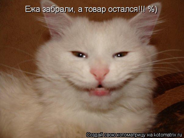 Ежа забрали, а товар остался!!! %)... Котоматрица: Ежа забрали, а товар остался!!! %)