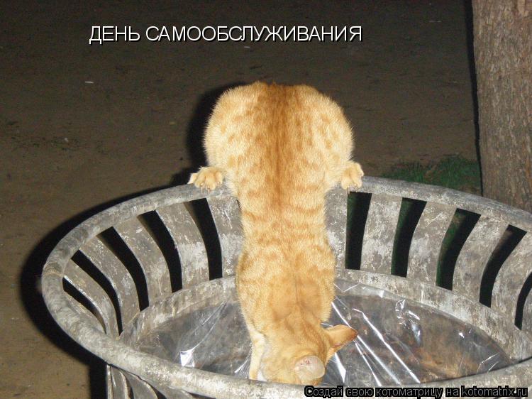 ДЕНЬ САМООБСЛУЖИВАНИЯ... Котоматрица: ДЕНЬ САМООБСЛУЖИВАНИЯ