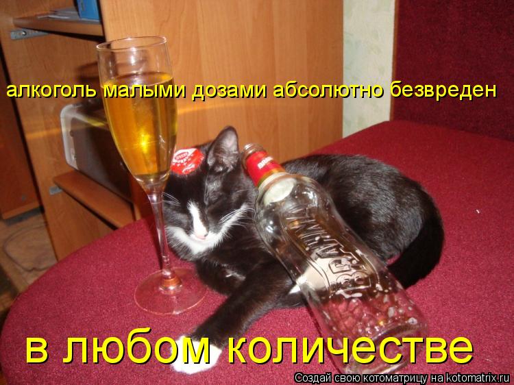 алкоголь малыми дозами абсолютно безвреден в любом количестве... Котоматрица: алкоголь малыми дозами абсолютно безвреден в любом количестве