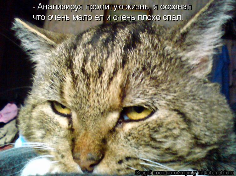 - Анализируя прожитую жизнь, я осознал что очень мало ел и очень плохо спал!... Котоматрица: - Анализируя прожитую жизнь, я осознал что очень мало ел и очень плохо спал!