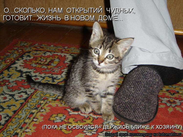 О...СКОЛЬКО, НАМ ОТКРЫТИЙ ЧУДНЫХ, ГОТОВИТ...ЖИЗНЬ В НОВОМ ДОМЕ... (ПОКА НЕ ОСВОИЛСЯ-- ДЕРЖИСЬ БЛ... Котоматрица: О...СКОЛЬКО, НАМ ОТКРЫТИЙ ЧУДНЫХ, ГОТОВИТ...ЖИЗНЬ В НОВОМ ДОМЕ... (ПОКА НЕ ОСВОИЛСЯ-- ДЕРЖИСЬ БЛИЖЕ К ХОЗЯИНУ)