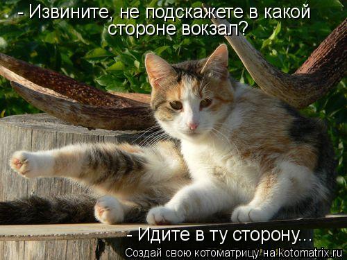 - Извините, не подскажете в какой стороне вокзал? - Идите в ту сторону...... Котоматрица: - Извините, не подскажете в какой стороне вокзал? - Идите в ту сторону...