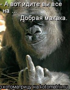 - А вот идите вы все на ... Добрая макака.... Котоматрица: - А вот идите вы все на ... Добрая макака.