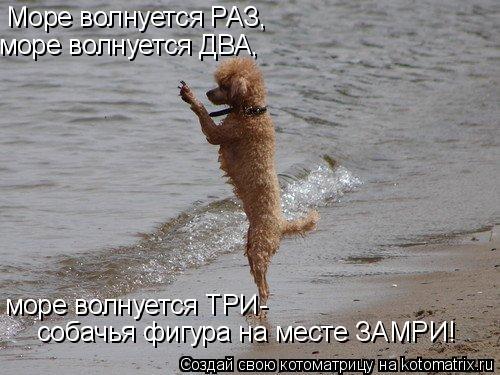 Море волнуется РАЗ, море волнуется ДВА, море волнуется ТРИ- собачья фигура на месте ЗАМРИ!... Котоматрица: Море волнуется РАЗ, море волнуется ДВА, море волнуется ТРИ- собачья фигура на месте ЗАМРИ!