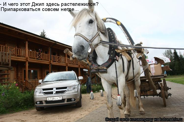 - И чего этот Джип здесь растележился? Припарковаться совсем негде...... Котоматрица: - И чего этот Джип здесь растележился? Припарковаться совсем негде...