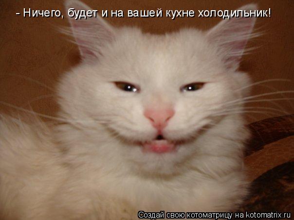 - Ничего, будет и на вашей кухне холодильник!... Котоматрица: - Ничего, будет и на вашей кухне холодильник!