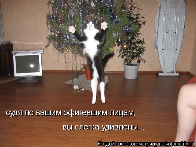 судя по вашим офигевшим лицам, вы слегка удивлены...... Котоматрица: судя по вашим офигевшим лицам, вы слегка удивлены...