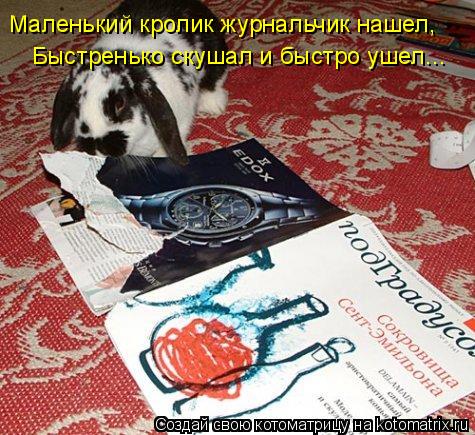 Маленький кролик журнальчик нашел, Быстренько скушал и быстро ушел...... Котоматрица: Маленький кролик журнальчик нашел, Быстренько скушал и быстро ушел...