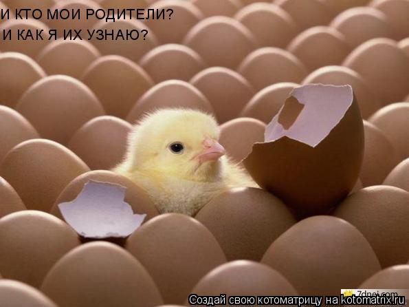 И КАК Я ИХ УЗНАЮ? И КТО МОИ РОДИТЕЛИ?... Котоматрица: И КАК Я ИХ УЗНАЮ? И КТО МОИ РОДИТЕЛИ?