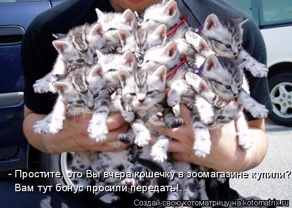 - Простите, это Вы вчера кошечку в зоомагазине купили? Вам тут бонус просили передать!..... Котоматрица: - Простите, это Вы вчера кошечку в зоомагазине купили? Вам тут бонус просили передать!..