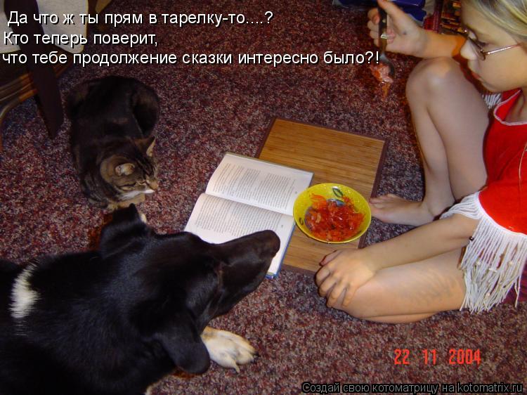 Да что ж ты прям в тарелку-то....? Кто теперь поверит, что тебе продолжение сказки интересно было?!... Котоматрица: Да что ж ты прям в тарелку-то....? Кто теперь поверит, что тебе продолжение сказки интересно было?!