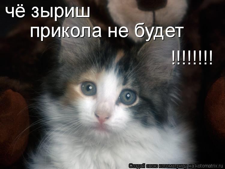 чё зыриш прикола не будет !!!!!!!!... Котоматрица: чё зыриш прикола не будет !!!!!!!!