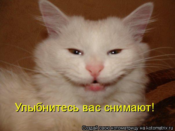 Улыбнитесь вас снимают!... Котоматрица: Улыбнитесь вас снимают!