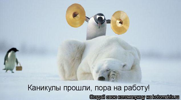 Каникулы прошли, пора на работу!... Котоматрица: Каникулы прошли, пора на работу!