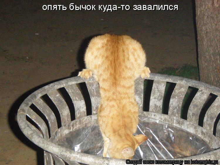 опять бычок куда-то завалился... Котоматрица: опять бычок куда-то завалился