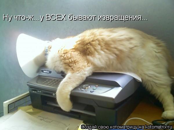 Ну что-ж...у ВСЕХ бывают извращения...... Котоматрица: Ну что-ж...у ВСЕХ бывают извращения...