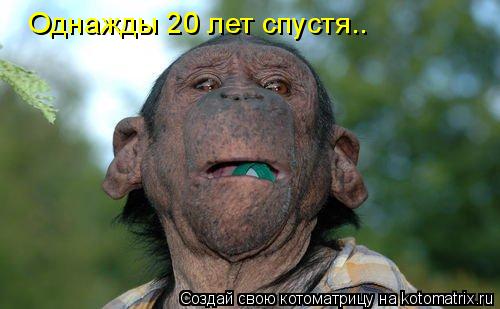 Однажды 20 лет спустя..... Котоматрица: Однажды 20 лет спустя..