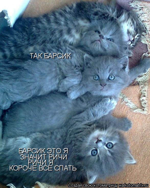 ТАК БАРСИК БАРСИК ЭТО Я ЗНАЧИТ РИЧИ РИЧИ Я КОРОЧЕ ВСЕ СПАТЬ... Котоматрица: ТАК БАРСИК БАРСИК ЭТО Я ЗНАЧИТ РИЧИ РИЧИ Я КОРОЧЕ ВСЕ СПАТЬ