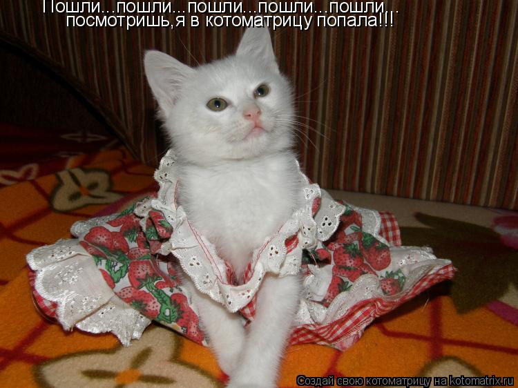 Пошли...пошли...пошли...пошли...пошли... посмотришь,я в котоматрицу попала!!!... Котоматрица: Пошли...пошли...пошли...пошли...пошли... посмотришь,я в котоматрицу попала!!!
