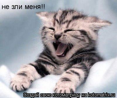 не зли меня!!... Котоматрица: не зли меня!!