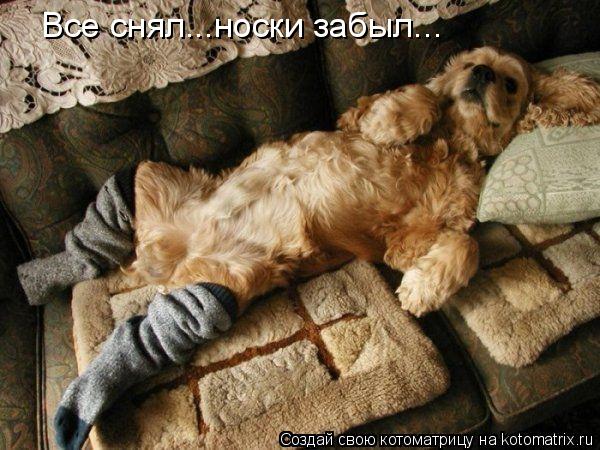 Все снял...носки забыл...... Котоматрица: Все снял...носки забыл...