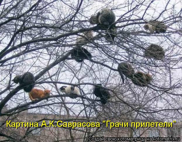 Картина А.К.Саврасова "Грачи прилетели"... Котоматрица: Картина А.К.Саврасова "Грачи прилетели"