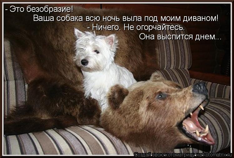 - Это безобразие! Ваша собака всю ночь выла под моим диваном! - Hичего. Hе огорчайтесь. Она выспит... Котоматрица: - Это безобразие! Ваша собака всю ночь выла под моим диваном! - Hичего. Hе огорчайтесь. Она выспится днем...