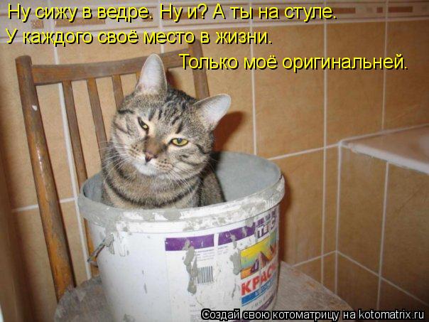 Ну сижу в ведре. Ну и? А ты на стуле. У каждого своё место в жизни. Только моё оригинальней.... Котоматрица: Ну сижу в ведре. Ну и? А ты на стуле. У каждого своё место в жизни. Только моё оригинальней.