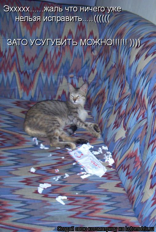 Эххххх......жаль что ничего уже нельзя исправить.....(((((( ЗАТО УСУГУБИТЬ МОЖНО!!!!!! ))))... Котоматрица: Эххххх......жаль что ничего уже нельзя исправить.....(((((( ЗАТО УСУГУБИТЬ МОЖНО!!!!!! ))))