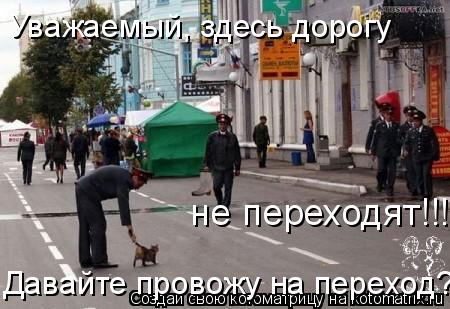 Уважаемый, здесь дорогу не переходят!!! Давайте провожу на переход?... Котоматрица: Уважаемый, здесь дорогу не переходят!!! Давайте провожу на переход?