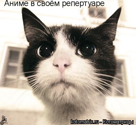 Аниме в своём репертуаре... Котоматрица: Аниме в своём репертуаре