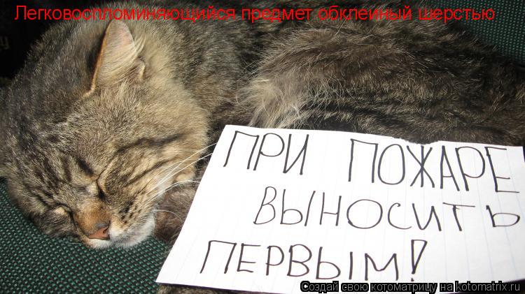 Легковоспломиняющийся предмет обклеиный шерстью Легковоспломиняющийся предмет обклеиный шерстью... Котоматрица: Легковоспломиняющийся предмет обклеиный шерстью Легковоспломиняющийся предмет обклеиный шерстью