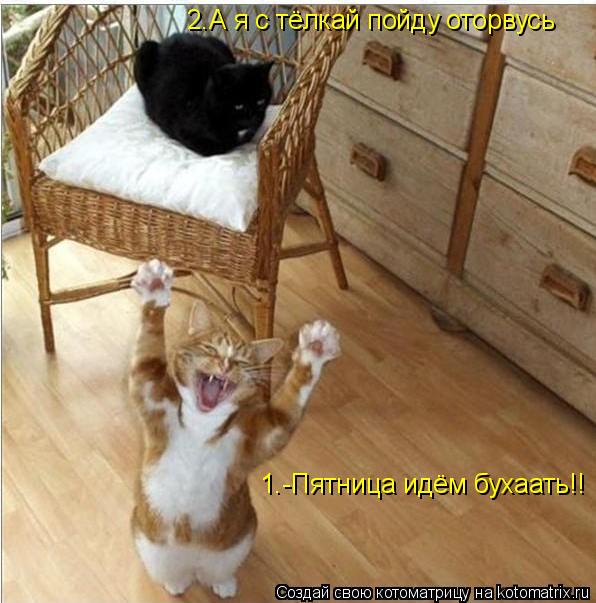 1.-Пятница идём бухаать!! 2.А я с тёлкай пойду оторвусь... Котоматрица: 1.-Пятница идём бухаать!! 2.А я с тёлкай пойду оторвусь