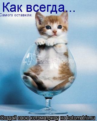 Как всегда... Самого оставили.... Котоматрица: Как всегда... Самого оставили.