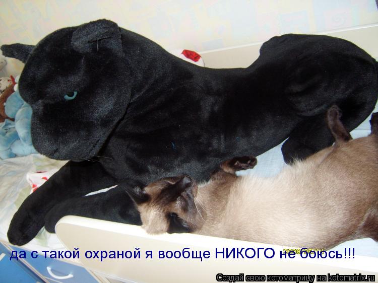 да с такой охраной я вообще НИКОГО не боюсь!!!... Котоматрица: да с такой охраной я вообще НИКОГО не боюсь!!!