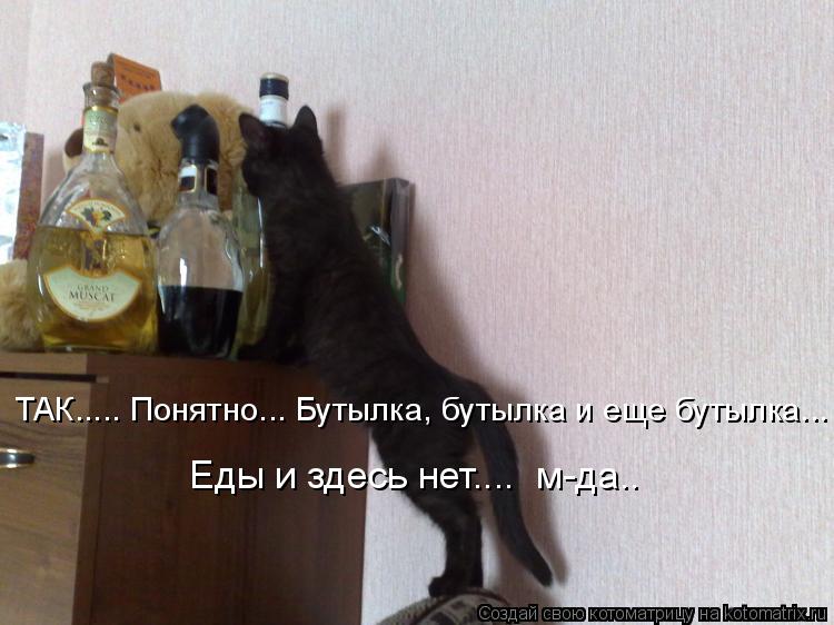 ТАК..... Понятно... Бутылка, бутылка и еще бутыла... ТАК..... Понятно... Бутылка, бутылка и еще буты... Котоматрица: ТАК..... Понятно... Бутылка, бутылка и еще бутыла... ТАК..... Понятно... Бутылка, бутылка и еще бутылка... Еды и здесь нет.... м-да..