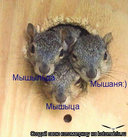 Мышаня:) Мышыца Мышыльда... Котоматрица: Мышаня:) Мышыца Мышыльда