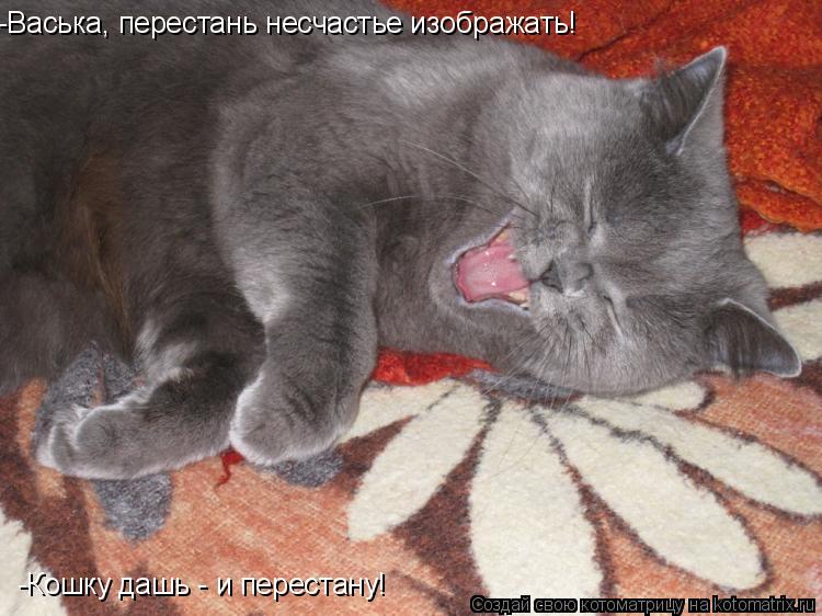 Котоматрица: -Васька, перестань несчастье изображать! -Кошку дашь - и перестану!