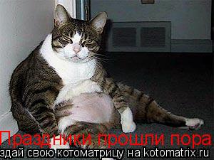Праздники прошли пора на диету... Котоматрица: Праздники прошли пора на диету