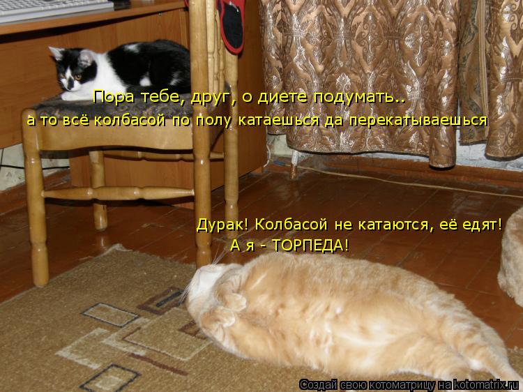 Пора тебе, друг, о диете подумать.. а то всё колбасой по полу катаешься да перекатываешься Дурак! Кол... Котоматрица: Пора тебе, друг, о диете подумать.. а то всё колбасой по полу катаешься да перекатываешься Дурак! Колбасой не катаются, её едят! А я - ТОРПЕДА!