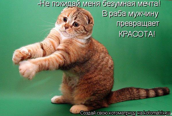 -Не покидай меня безумная мечта! В раба мужчину превращает КРАСОТА!... Котоматрица: -Не покидай меня безумная мечта! В раба мужчину превращает КРАСОТА!