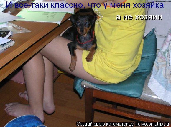 И все-таки классно, что у меня хозяйка а не хозяин... Котоматрица: И все-таки классно, что у меня хозяйка а не хозяин