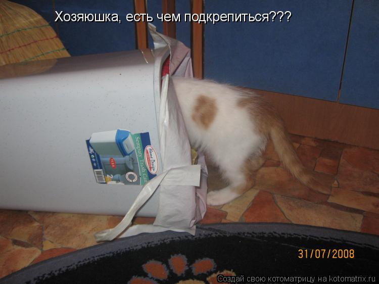 Хозяюшка, есть чем подкрепиться???... Котоматрица: Хозяюшка, есть чем подкрепиться???