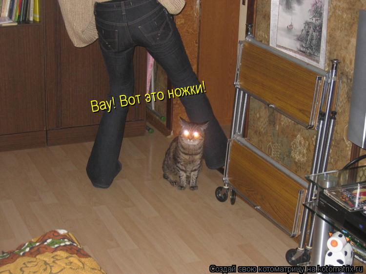 Вау! Вот это ножки!... Котоматрица: Вау! Вот это ножки!