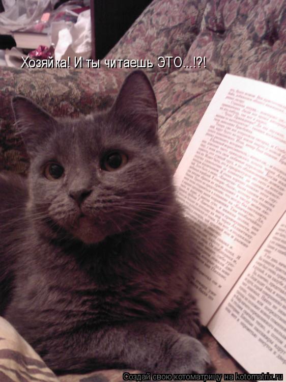 Хозяйка! И ты читаешь ЭТО...!?!... Котоматрица: Хозяйка! И ты читаешь ЭТО...!?!