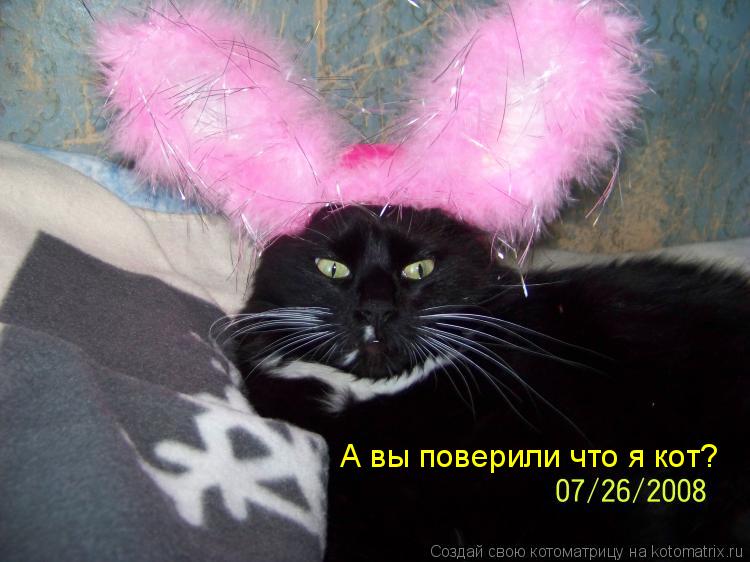 А вы поверили что я кот?... Котоматрица: А вы поверили что я кот?