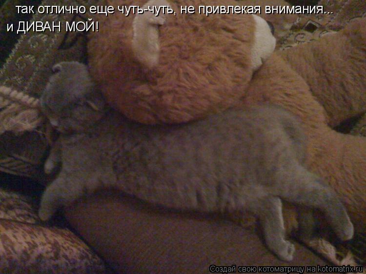 Котоматрица: так отлично еще чуть-чуть, не привлекая внимания... и ДИВАН МОЙ! так отлично еще чуть-чуть, не привлекая внимания...  и ДИВАН МОЙ!