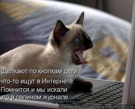 Щелкают по кнопкам дети, что-то ищут в Интернете. Помнится,и мы искали это в папином журнале.... Котоматрица: Щелкают по кнопкам дети, что-то ищут в Интернете. Помнится,и мы искали это в папином журнале.